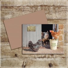Kitchy & Co Greetings Card Manour Farm