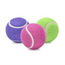 Ancol Assorted Tennis Balls - 6pk