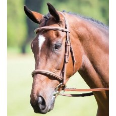 Shires Avignon Raised Cavesson Bridle Shires Avignon Raised Cavesson Bridle