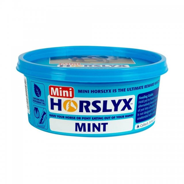 Horslyx Horslyx Mini Mint Balancer - 650g