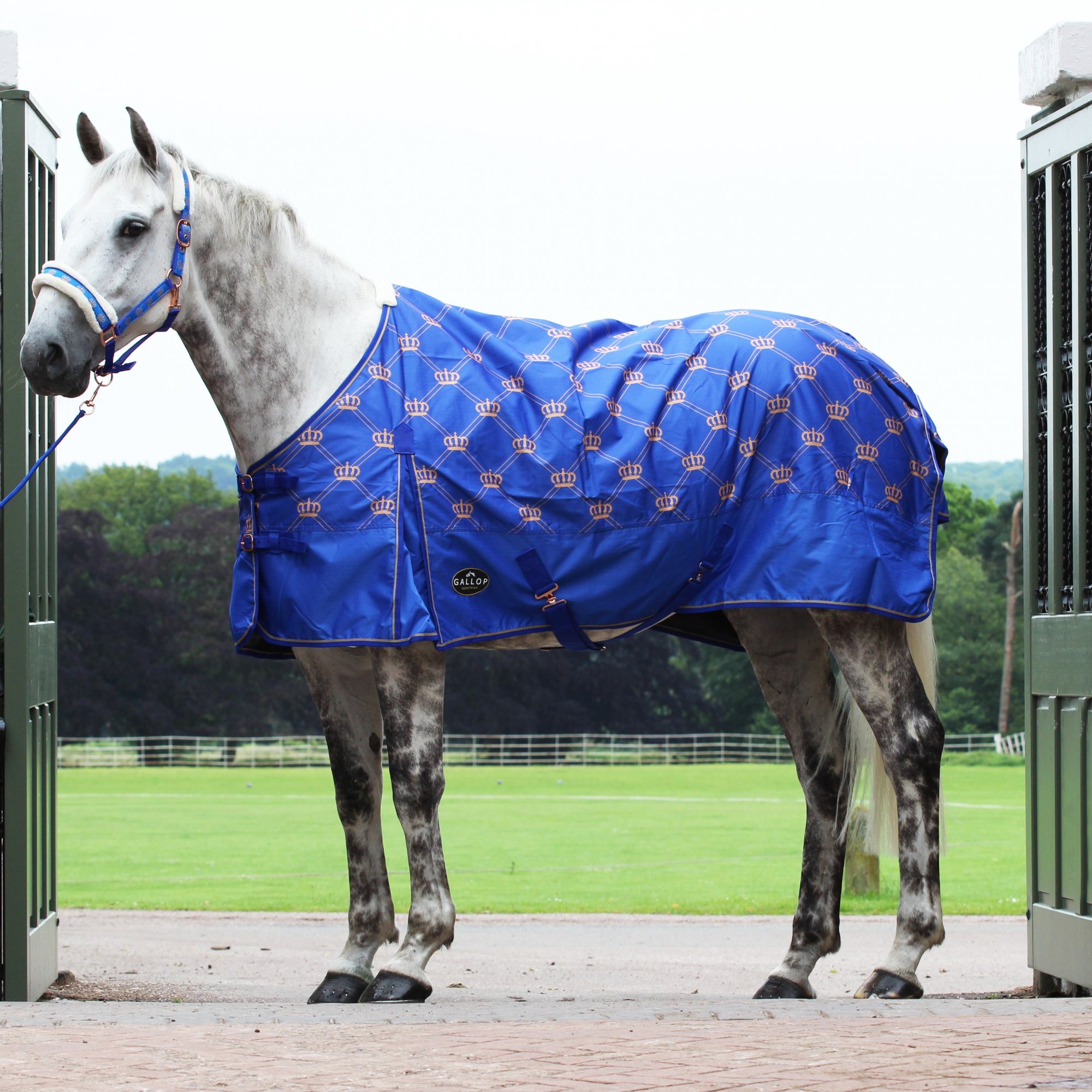 Gallop Monarch Lightweight Turnout Rug - Robinsons Equestrian