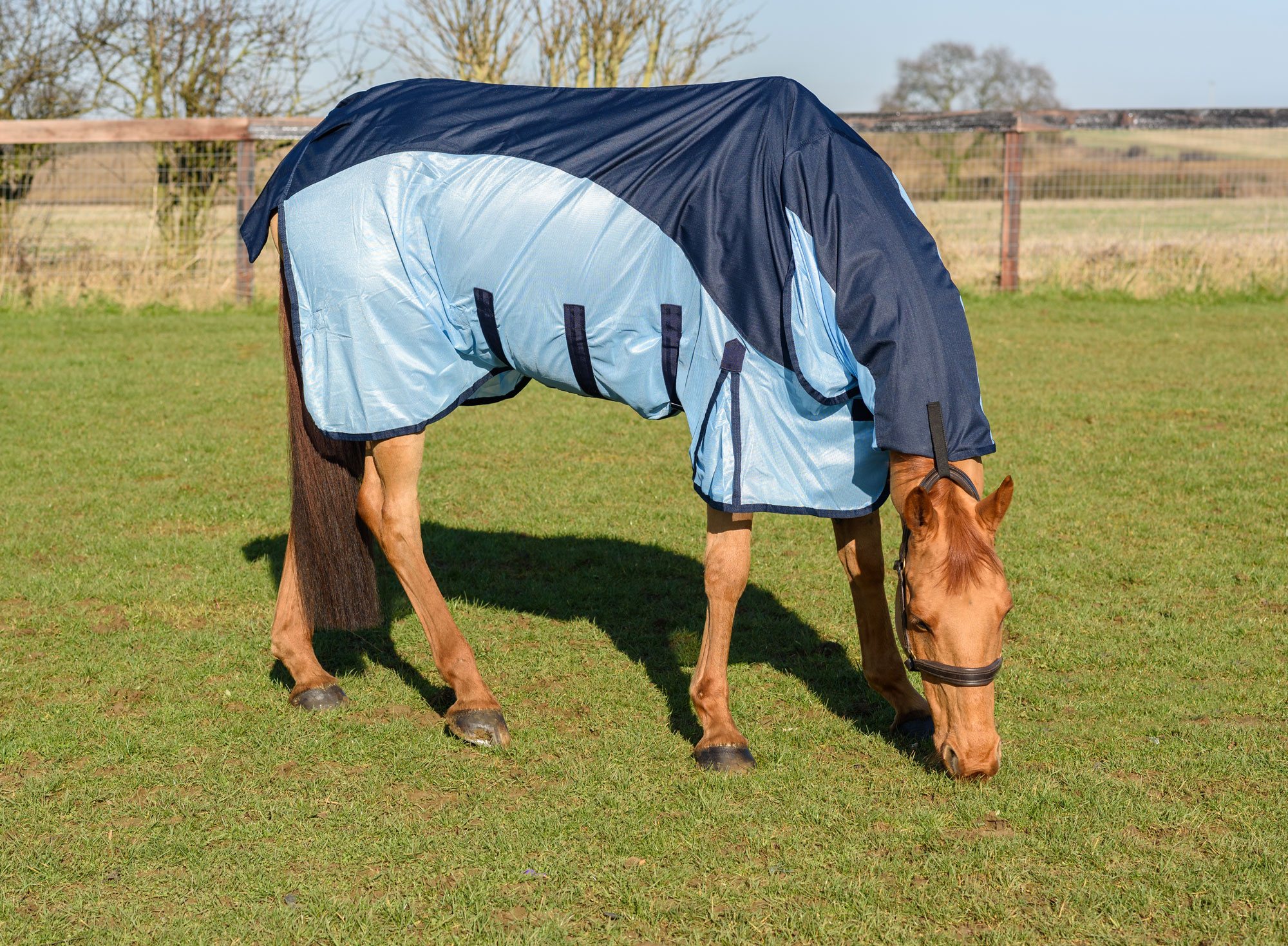 Equestrian King Hybrid Fly Rug Waterproof Back - Robinsons Equestrian