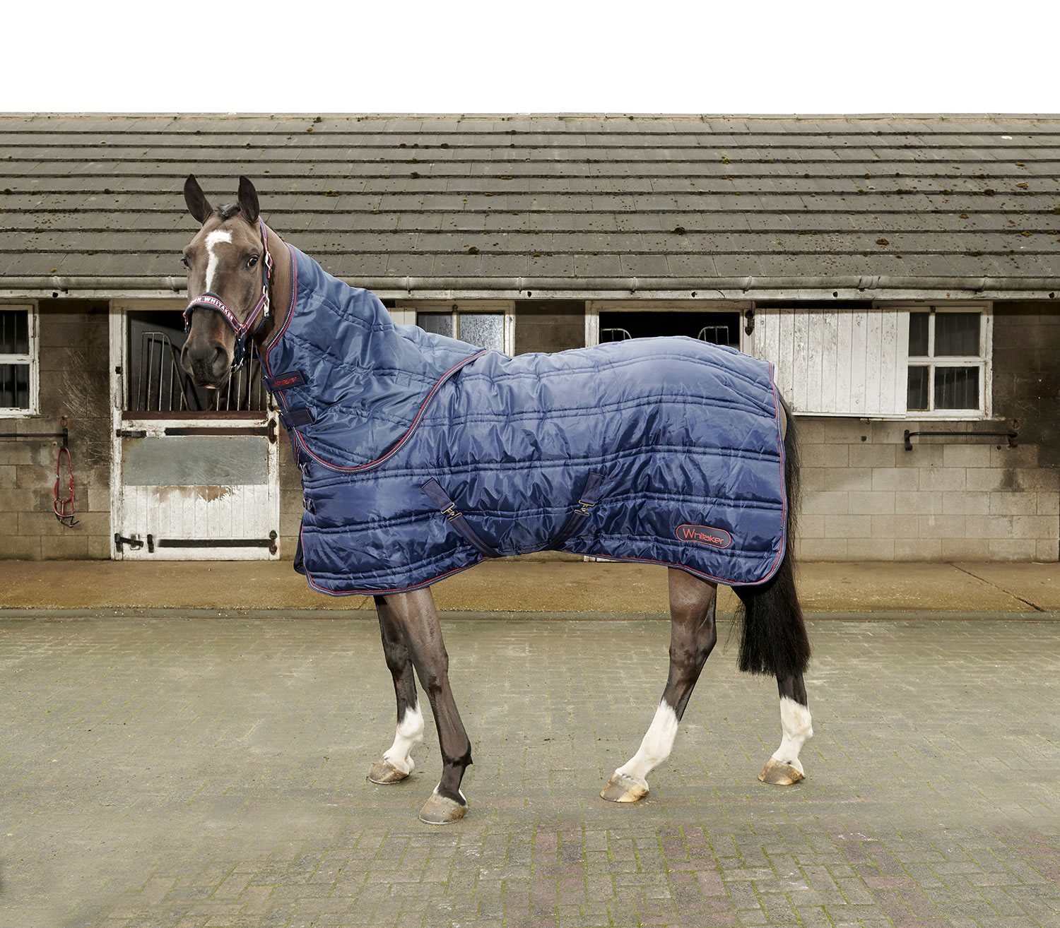 Whitaker Stable Rug Rastrick Combo 250 Gm - Robinsons Equestrian