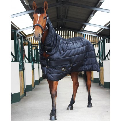 Buy Horze Pony Turnout Rug with Crown Print, 100g