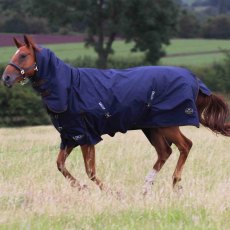 Gallop 450 Heavy Combo Turnout Rug