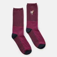 Joules Single Socks Everyday - 4-7 Joules Single Socks Everyday - 4-7