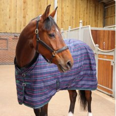 Shires Tempest Plus Stable Standard 100g Rug