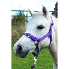 Gallop Headcollar And Lead Rope Set