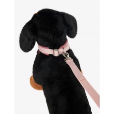 Lemieux Puppy Dog Collar & Lead