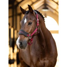 LeMieux Vogue Headcollar & Lead Rope