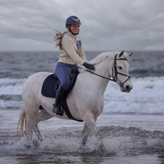 Aubrion Clement Adult's Fleece Jacket