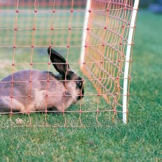 Electric Net Rabbit - 50m