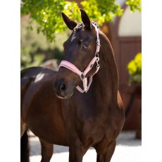 LeMieux Versailles Headcollar