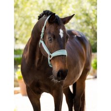 LeMieux Versailles Headcollar