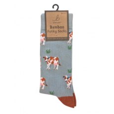 Bartleby Women's Funky Bamboo Socks