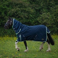 Gallop Trojan Duraproof Lightweight Turnout Combo Gallop Trojan Duraproof Lightweight Turnout Combo