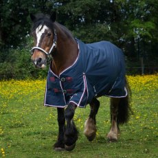 Gallop Trojan Duraproof 50G Standard Turnout Gallop Trojan Duraproof 50G Standard Turnout
