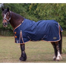 Gallop TROJAN 100g Duraproof Standard Neck Turnout Rug Gallop TROJAN 100g Duraproof Standard Neck Turnout Rug