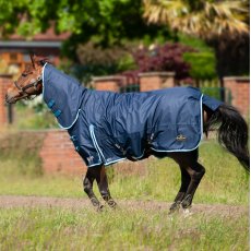 Gallop NEW TROJAN Duraproof 300g Turnout Combo Gallop NEW TROJAN Duraproof 300g Turnout Combo