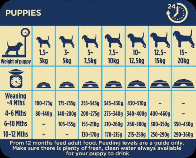 Burgess puppy food hotsell