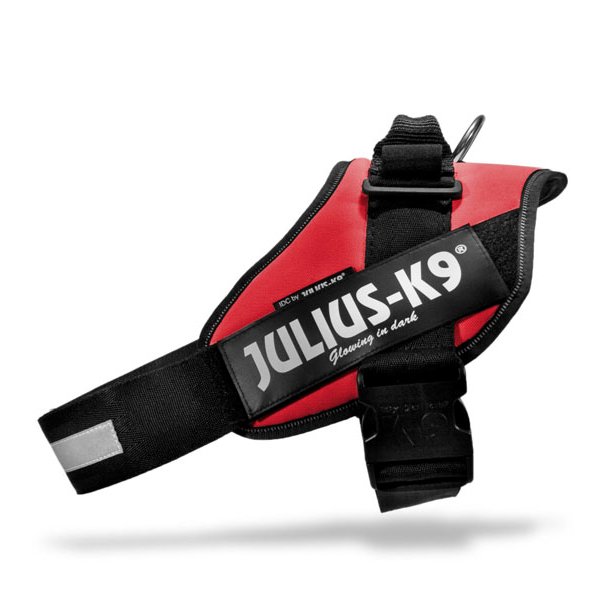 Julius k9 hot sale harness medium