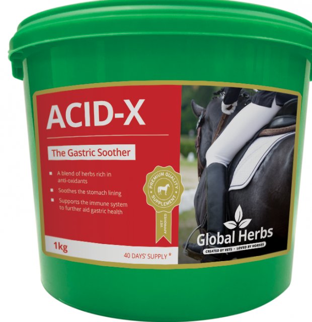 Global Herbs Global Herbs Acid-x - 1kg