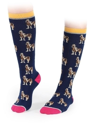 Shires Everyday Socks - Horses - Robinsons Equestrian