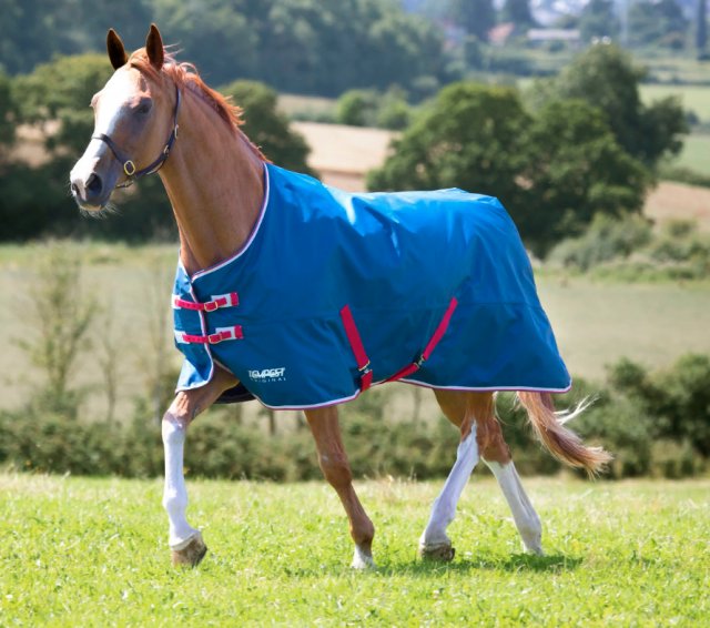 Shires Equestrian Shires Tempest Original Lite Turnout Rug