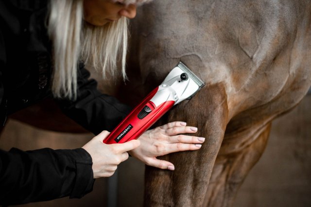 Horse clippers deals