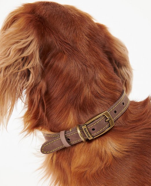 Barbour Leather Dog Collar Robinsons Equestrian