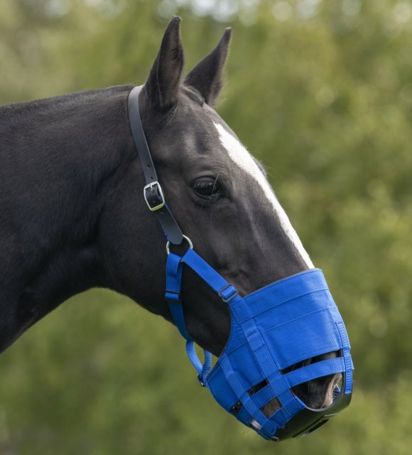 Best horse grazing muzzle sale