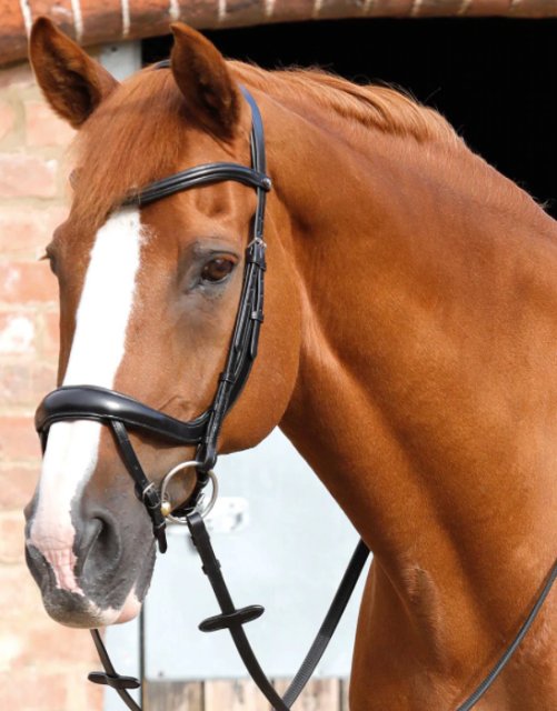 Premier Equine Premier Equine Savuto Anatomic Bridle With Crank Noseband & Flash
