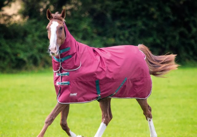 Shires Equestrian Tempest Original 200 Turnout Combo