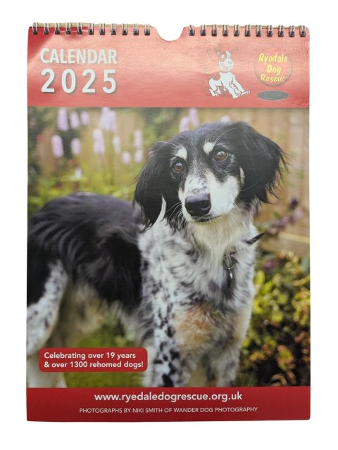 Ryedale Dog Rescue Charity 2025 Calendar