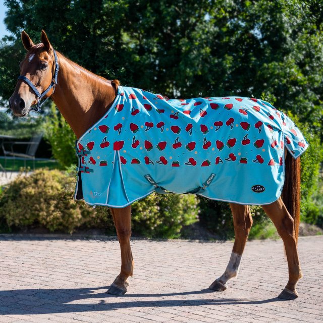 Gallop Gallop Trojan Berries & Cherries Light Turnout Rug