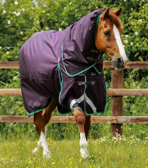 Premier Equine Buster 200g Turnout Rug with Snug-Fit Neck Cover