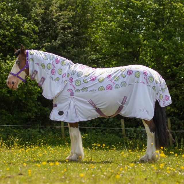 Gallop Gallop Sweets Fly Rug