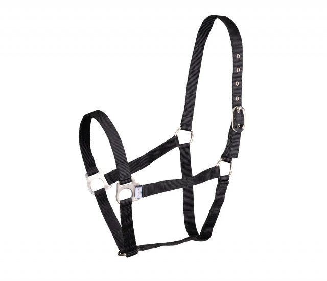 Shires Equestrian Shires Wessex Nylon Headcollar