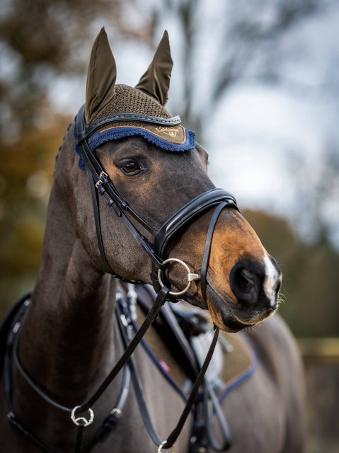 LeMieux LeMieux Classic Large Fly Hood