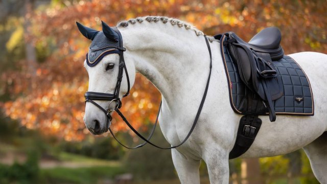 LeMieux LeMieux Loire Classic Dressage Square