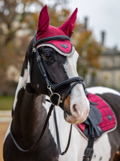 LeMieux LeMieux Loire Fly Hood