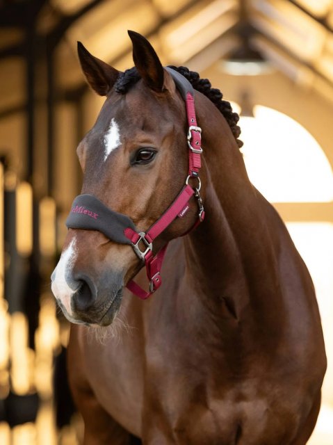 LeMieux LeMieux Vogue Headcollar & Lead Rope