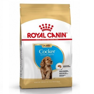 Royal Canin Royal Canin Cocker Spaniel Puppy - 3kg