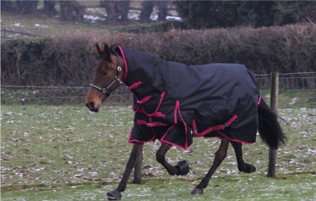 Jump Equestrian Heavy Turnout Combo Rug