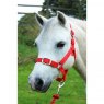 Gallop Gallop Headcollar And Lead Rope Set