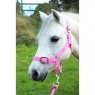 Gallop Gallop Headcollar And Lead Rope Set