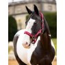 LeMieux LeMieux Logo Headcollar