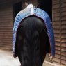 Gallop Gallop Trojan 50g Stable Rug